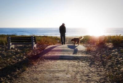 Rear view of man with dog at beach against sky