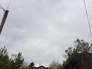 Low angle view of trees against sky