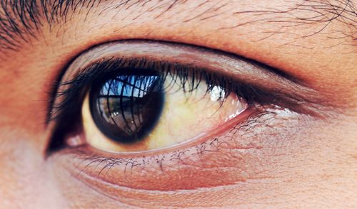 Close-up portrait of human eye