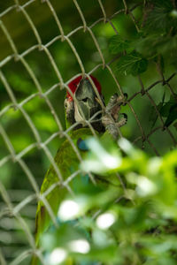 Bird perching on a branch