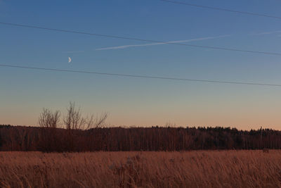 Scenic view of field against clear sky during sunset