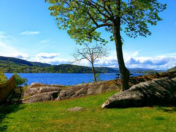 Scenic view of calm lake