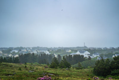 Trees and buildings against sky