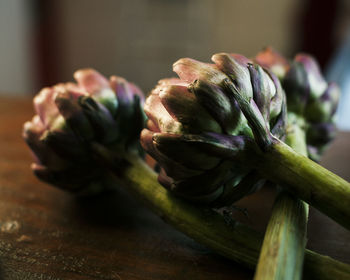 Close-up of vegetables on table