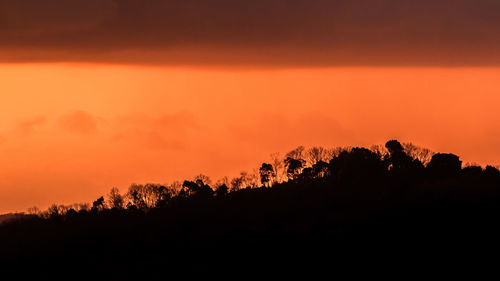 Silhouette trees against orange sky