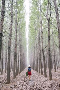 Rear view of woman walking in forest