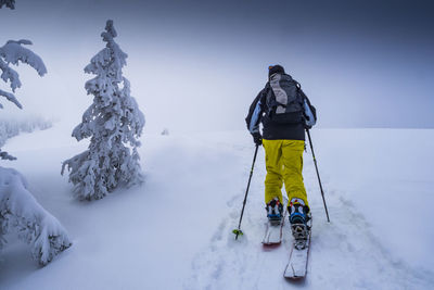 Rear view of person skiing on snow covered landscape against sky