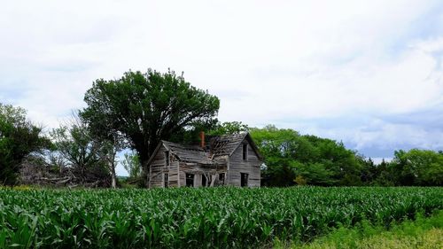 House on field by trees against sky