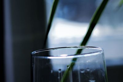 Close-up of glass of water