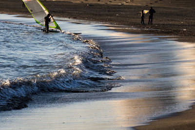 Man windsurfing in sea