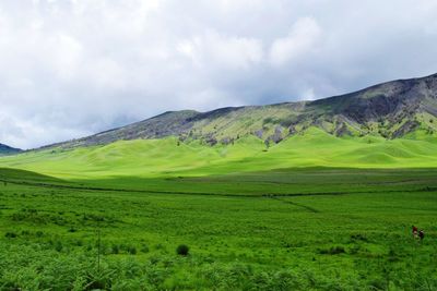 Scenic view of green landscape against sky