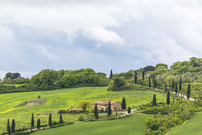 House in the countyside at a road with cypress trees