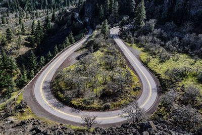 High angle view of road amidst trees in forest