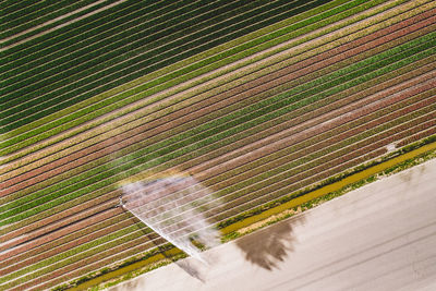 High angle view of agricultural field