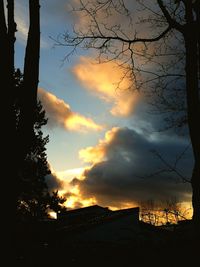 Silhouette trees against sky during sunset