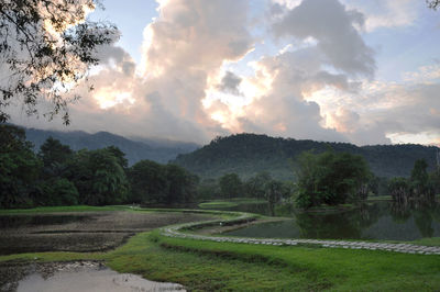 Scenic view of taiping lake gardens against sky