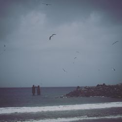 Seagulls flying over sea