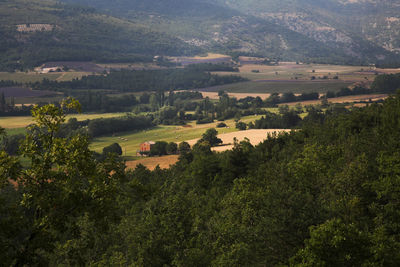 Scenic view of agricultural field at sunset