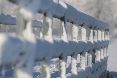 Close-up of metallic fence