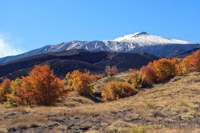 Scenic view of snowcapped mountains against blue sky