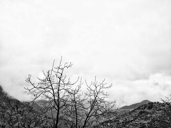 Low angle view of bare tree against sky