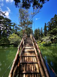 Wooden bridge over river amidst trees in forest against sky
