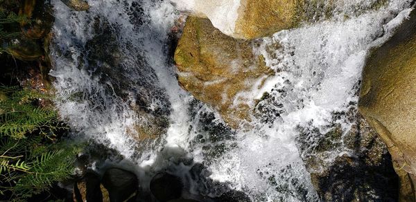 Scenic view of waterfall