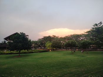 Trees on field against sky during sunset