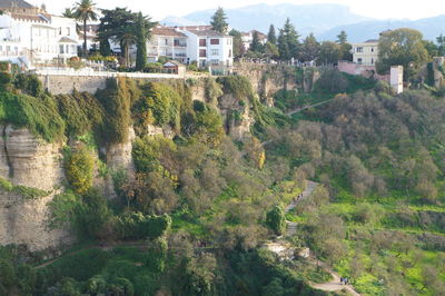 High angle view of trees and buildings in town