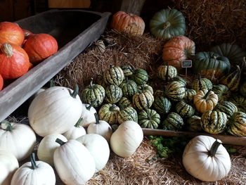 Close-up of vegetables