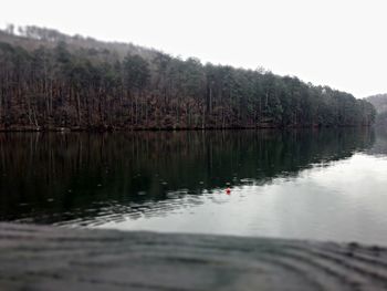 Reflection of trees in lake