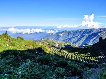 Panoramic view of landscape against sky