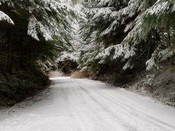 Road amidst snow covered mountain