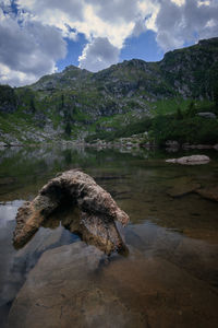 Driftwood on rock by lake against sky