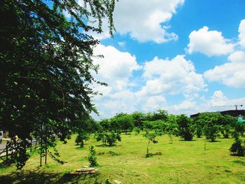 Scenic view of grassy field against cloudy sky