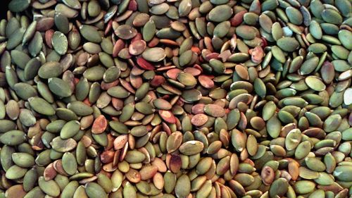 Full frame shot of fresh green beans
