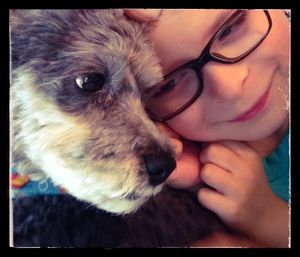 pets