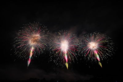 Low angle view of firework display at night