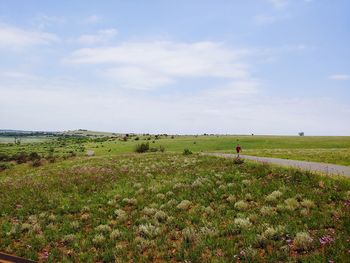 Scenic view of field against sky