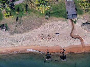 High angle view of plants on land by lake