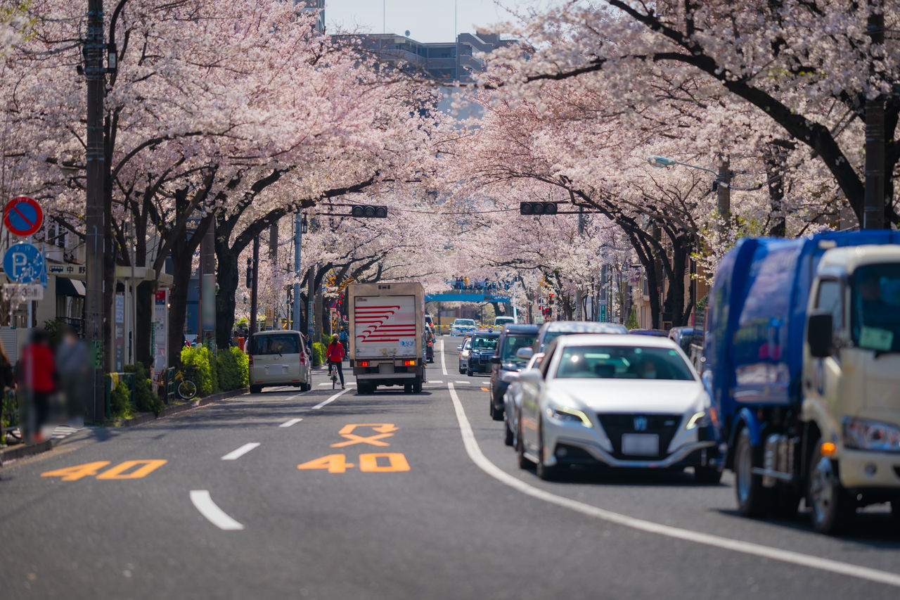 CARS ON CITY STREET