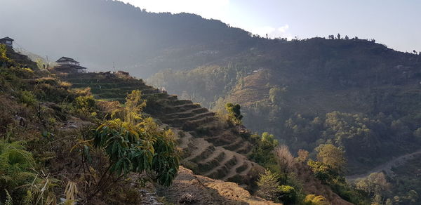 High angle view of trees on mountain against sky