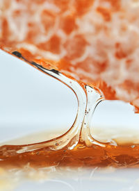 Close-up of honey comb 