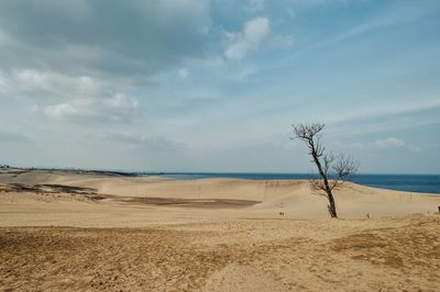 Scenic view of tottori sand dunes against sky