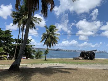 Palm trees on beach against sky