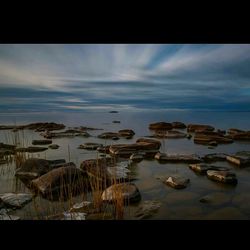 Reflection of clouds in water