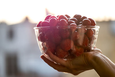 Close-up of a hand holding cherries