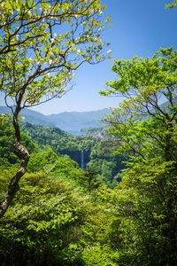 Scenic view of trees and mountains against sky