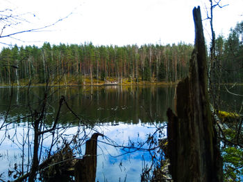 Scenic view of lake in forest against sky