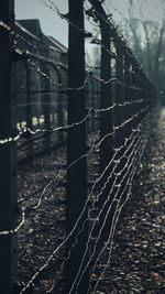 Close-up of water against sky